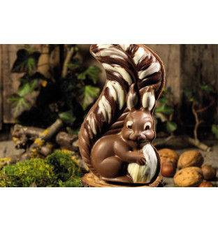 Noisette l'écureuil au chocolat au lait