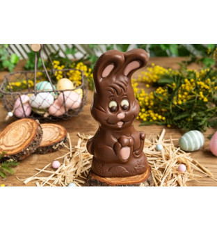 Lot de 2 Croquin le lapin...