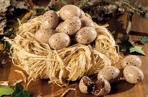 Lot de 3 sachets d'œufs de mouette au caramel à la fleur de sel