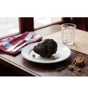 Truffes du Périgord noires entières brossées 1er choix
