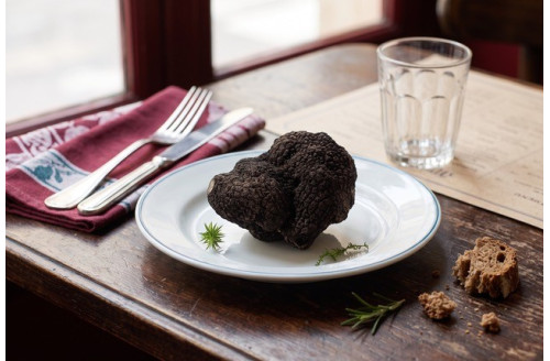 Truffe noire entière du Périgord brossée 1er choix