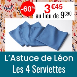 Astuce de léon